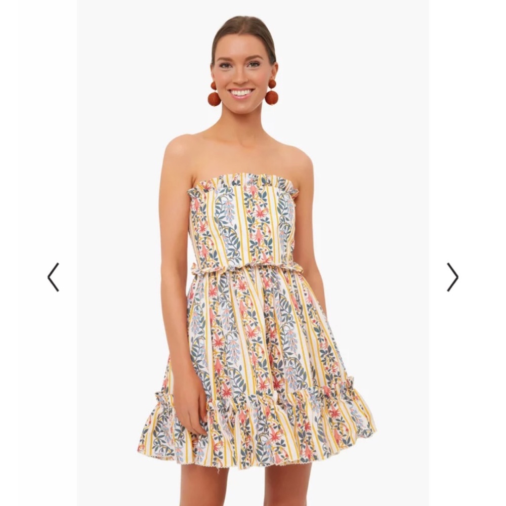 NWT Agua by Agua Bendita Lluvia Floral Rosa Mini Dress, Small